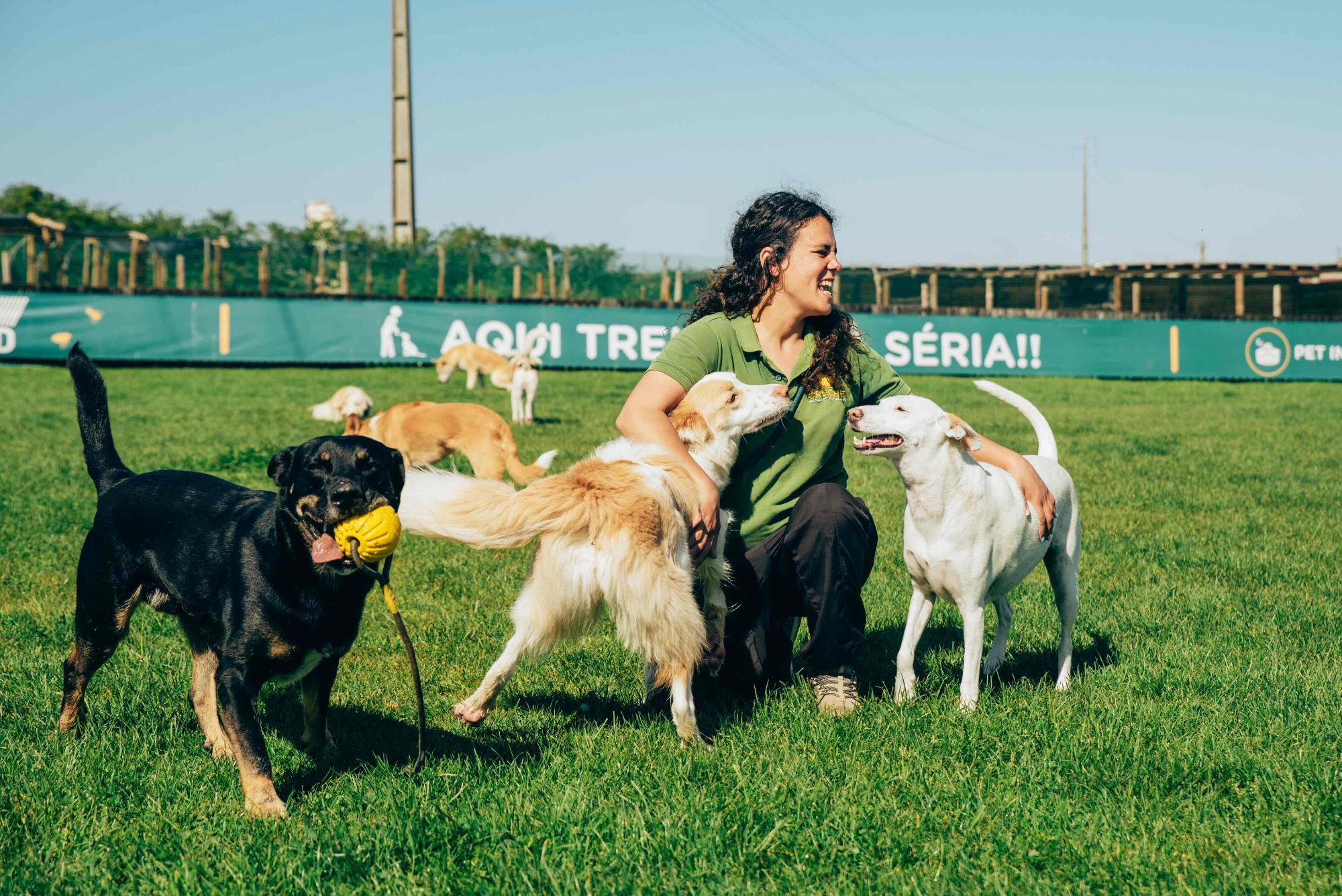 Creche para cães